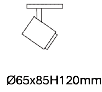 Proyector 2D